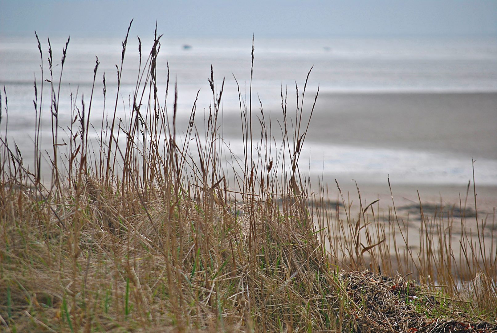 das Nordseeglitzern...