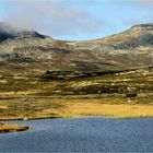 DAS NORWEGISCHE FJELL