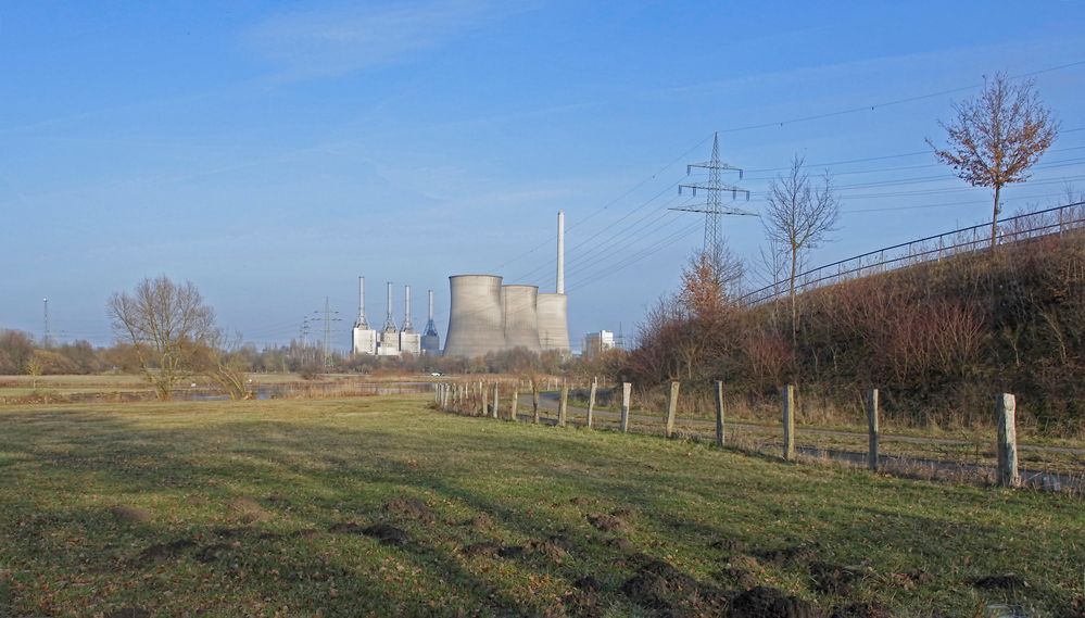 Das NSG "Am Tibaum" ist eine Insel in der Zivilisation und umgeben von Energietechnik und Bauwerken