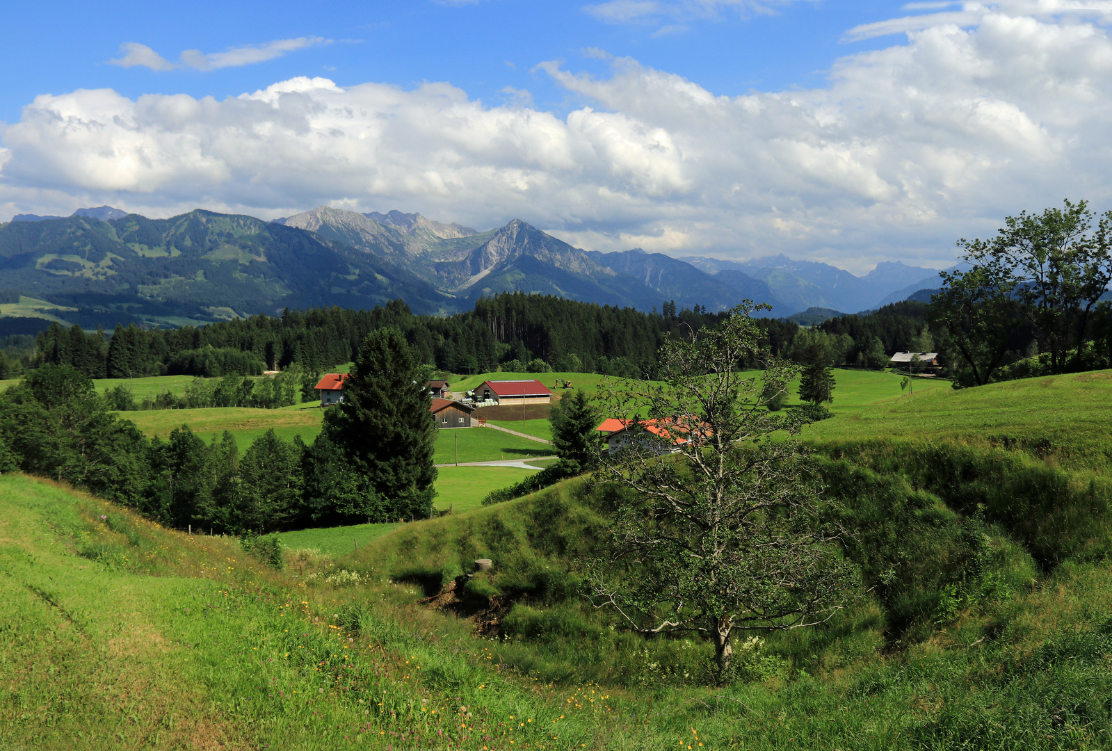 Das Oberallgäu