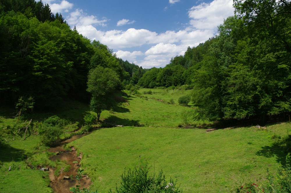 Das obere Hafenlohrtal