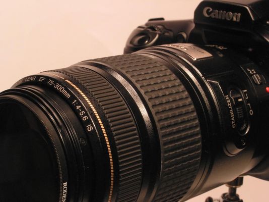 Das Objekt"iv" der Begierde-