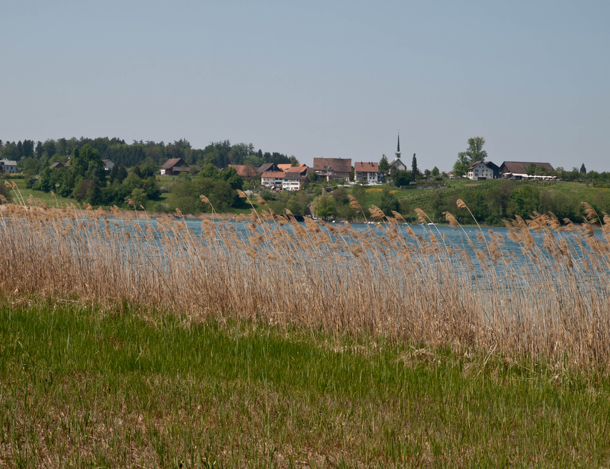 Das Örtchen Seegräben über dem Pfäffikersee