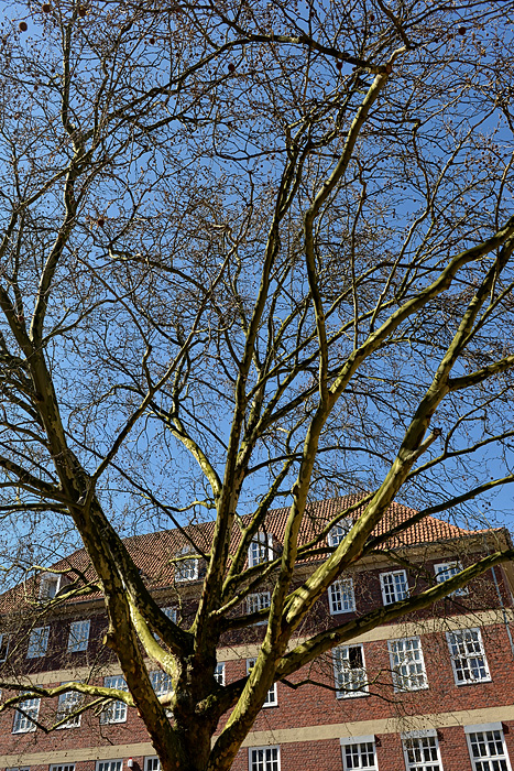 Das offene Fenster