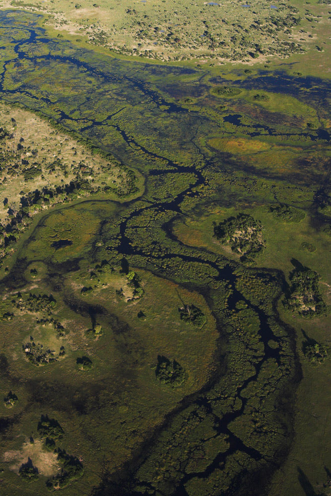 Das Okavango-Delta von oben (2/5)