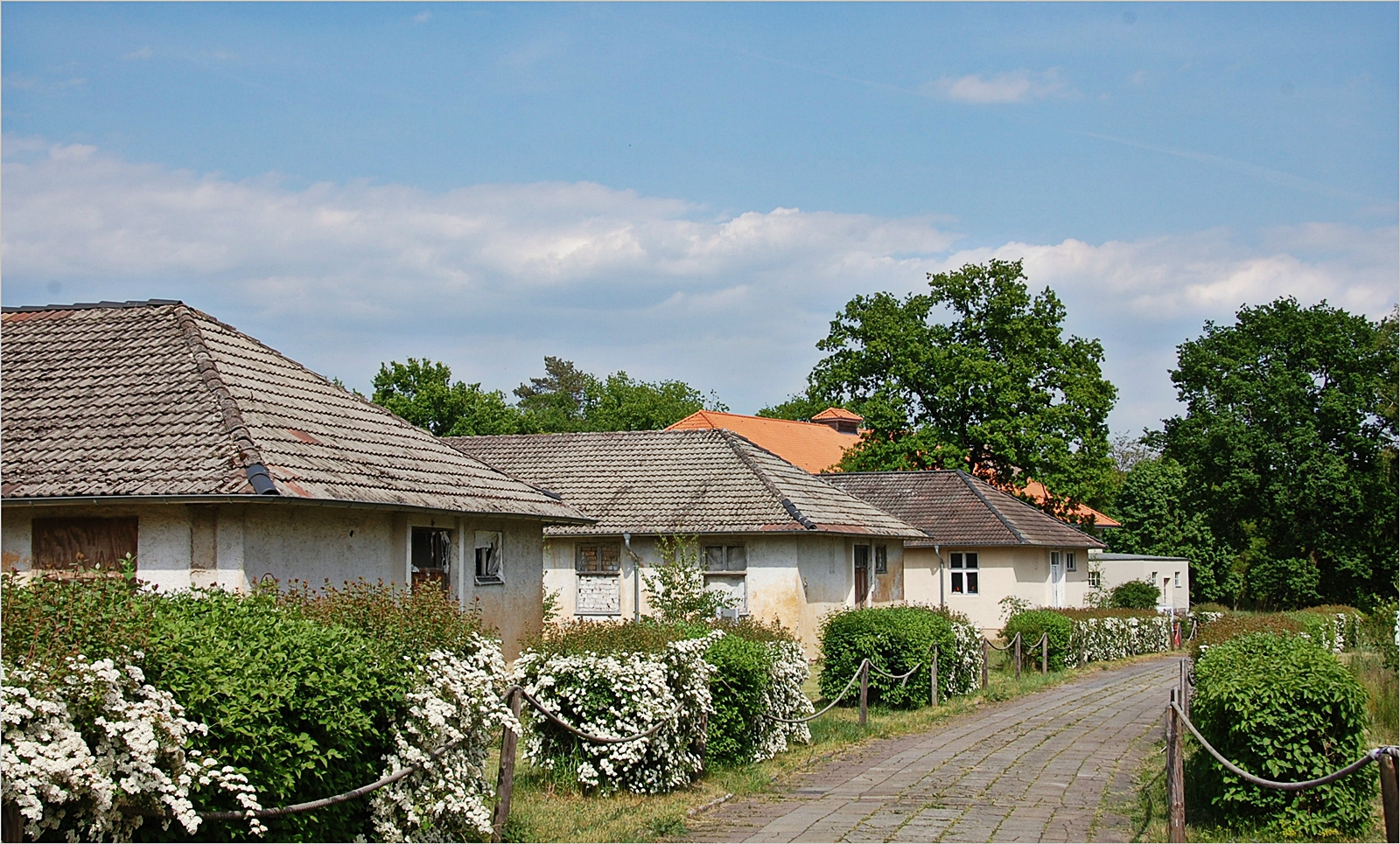 das olympische Dorf 1936