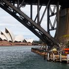 Das Opernhaus, die Harbourbridge und der rote Touristenbus