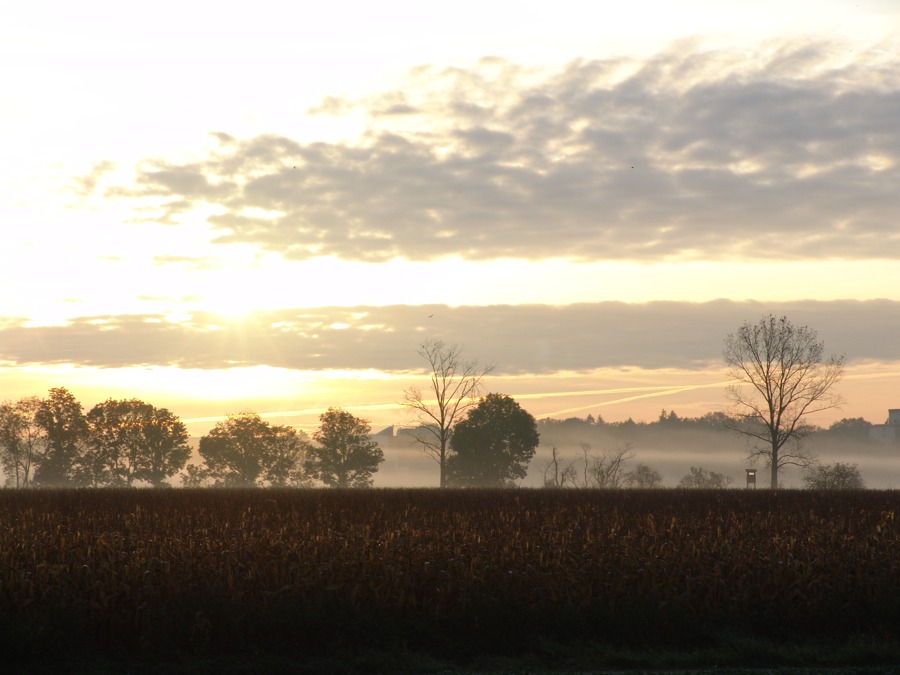 Das Original zu "Der sanfteste aller Herbsttage"