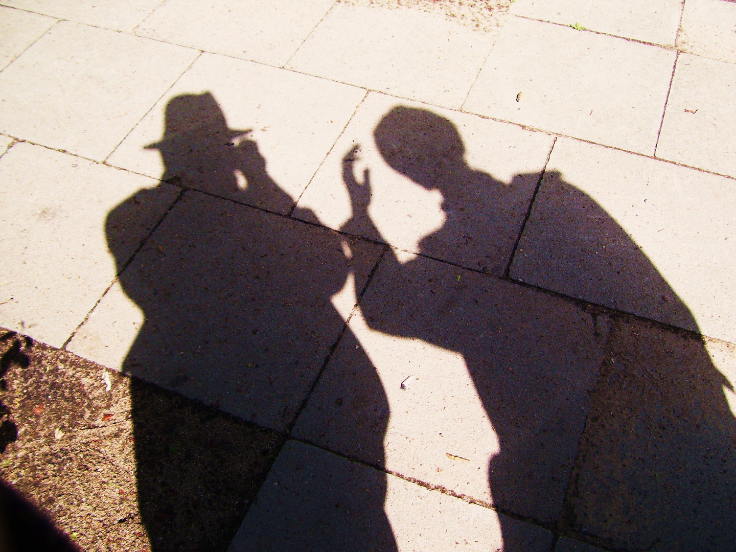 Das Paar als Schatten