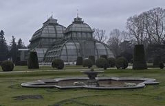 Das Palmenhaus