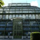 das Palmenhaus