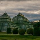 Das Palmenhaus