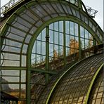 das palmenhaus