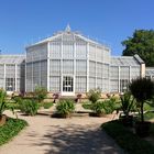 Das Palmenhaus im Schlosspark Pillnitz