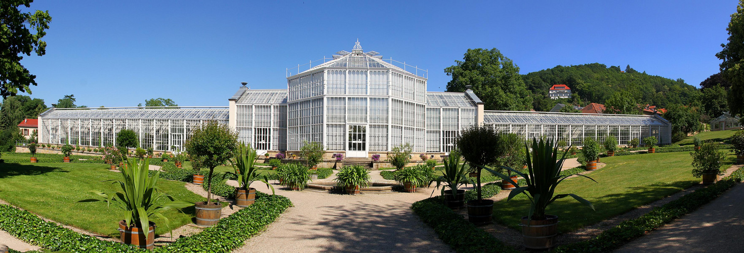 Das Palmenhaus im Schlosspark Pillnitz