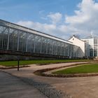 Das Palmenhaus im Schlosspark Pillnitz