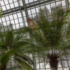 Das Palmenhaus im Schönbrunner Schlosspark