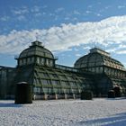 Das Palmenhaus in Schönbrunn