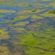 SA - Pantanal (BR)