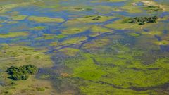 Das Pantanal aus der Luft - I