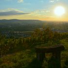 Das Paradies beginnt im Remstal