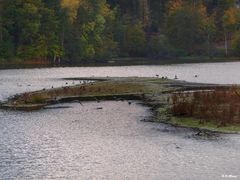 Das Paradies für Wasservögel