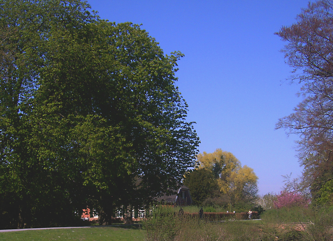 Das Paradies vor meiner Haustür