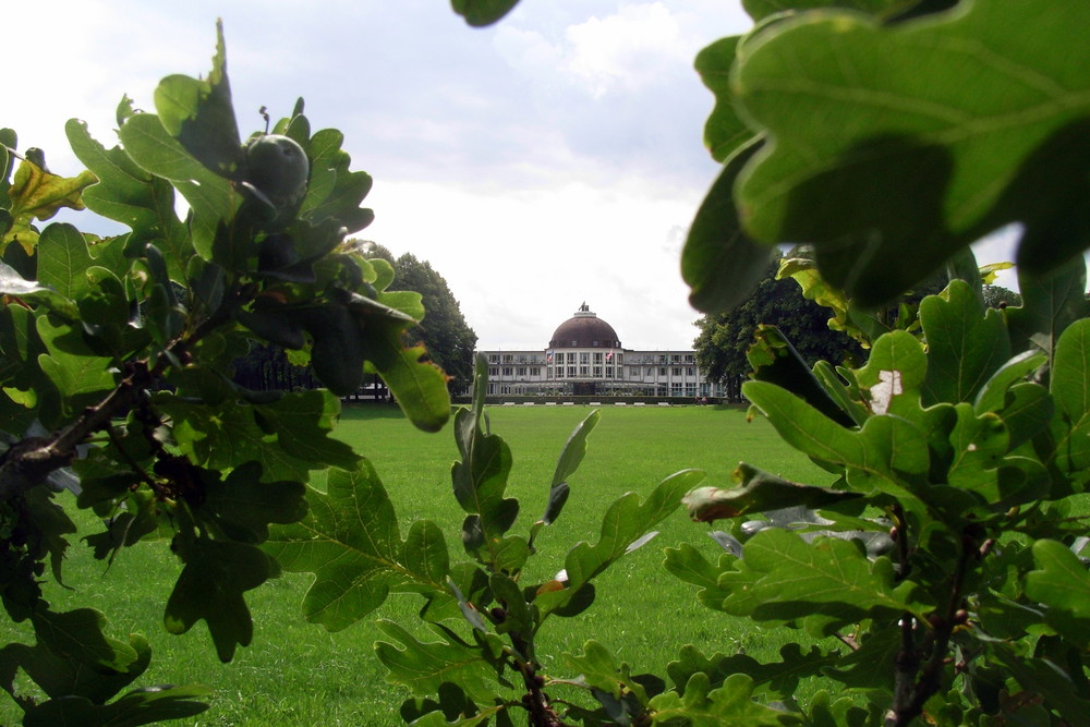 Das Parkhotel aus Sicht der Eichen