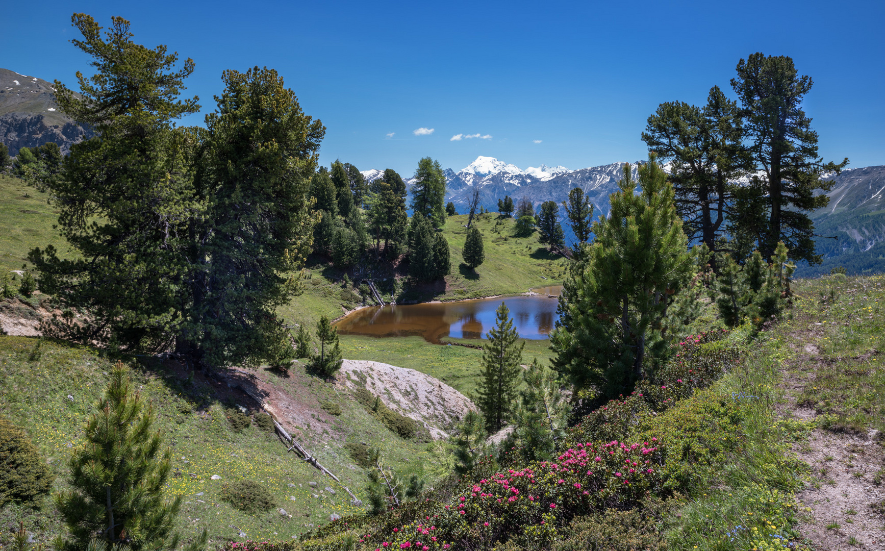 Das perfekte Bergseelein