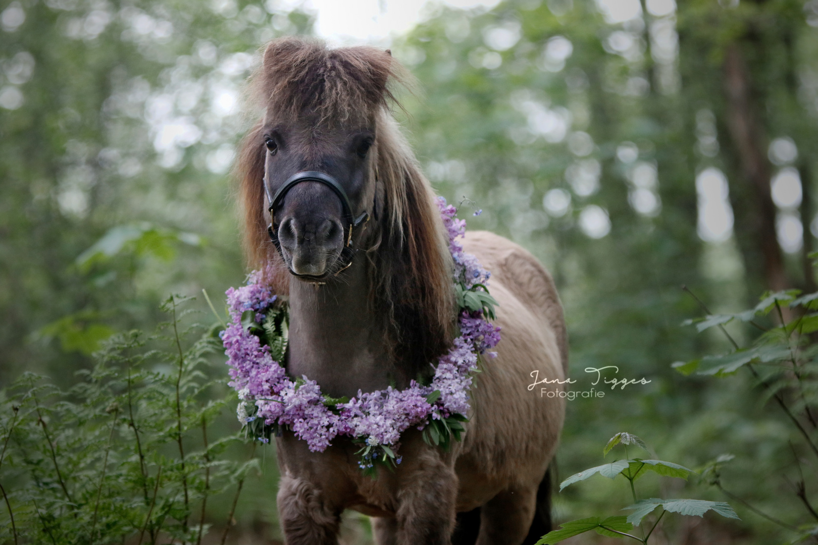 Das perfekte Blumenkind