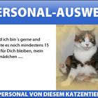 Das Personal von Frida .......