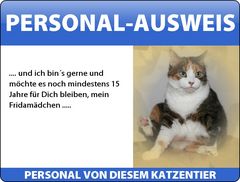 Das Personal von Frida .......