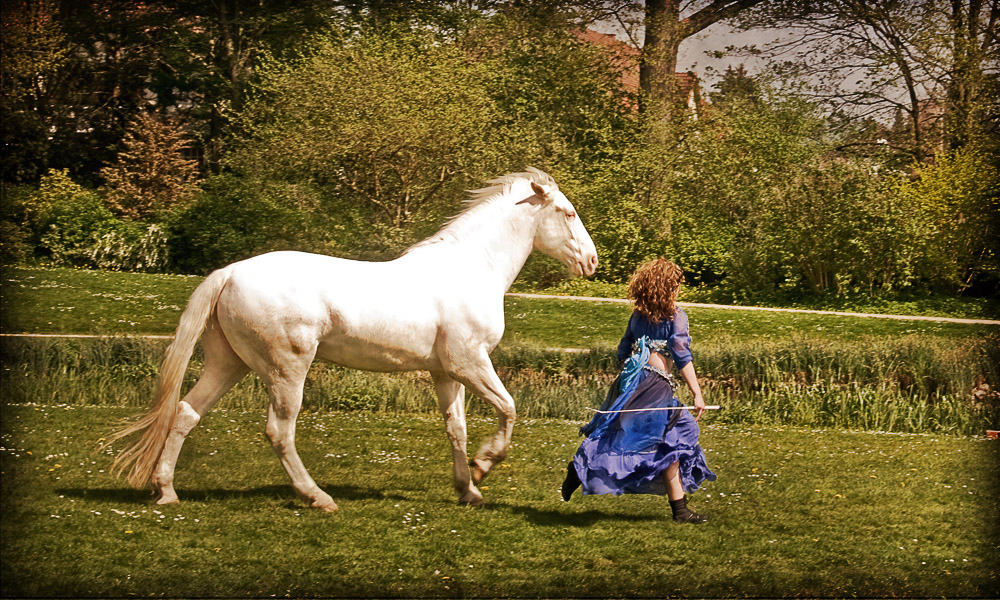 das Pferd aber schuf er aus Wind ...