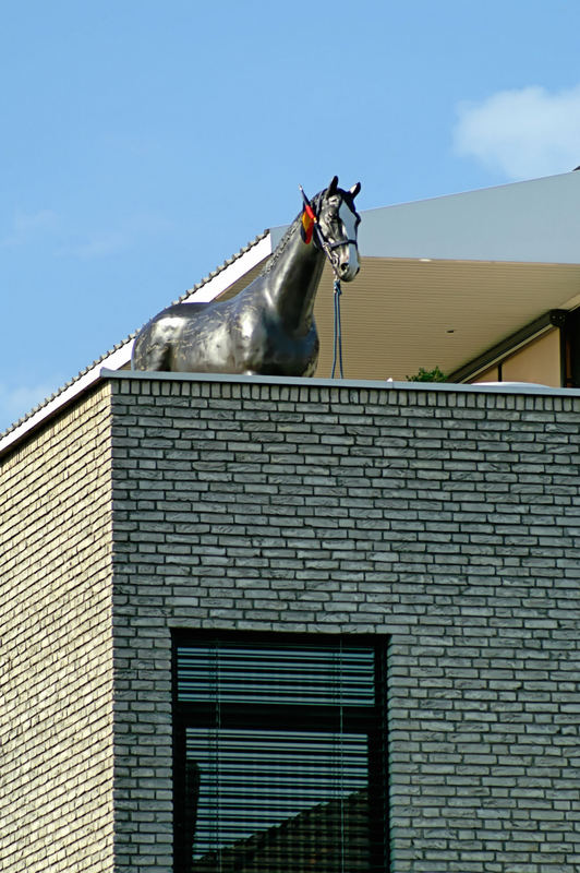 Das Pferd auf dem Dach ;o)))