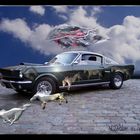 Das Pferd des Mustang