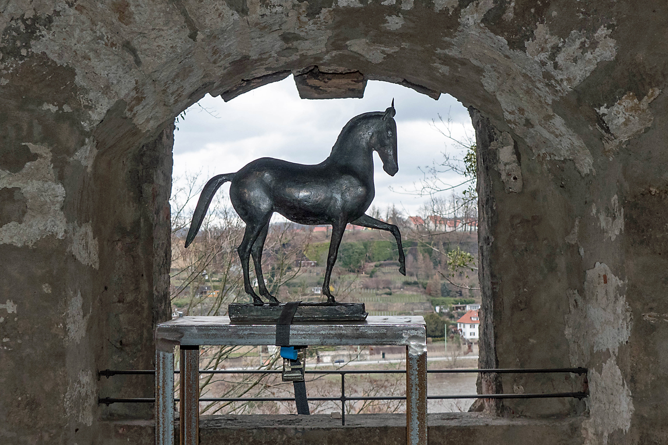 Das Pferd im Fenster