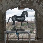 Das Pferd im Fenster