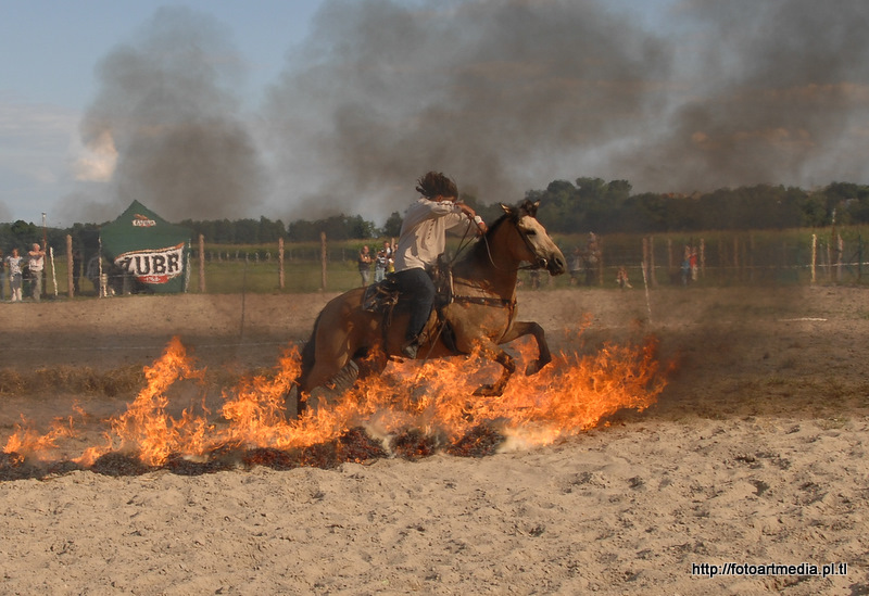 Das Pferd in dem Feuer