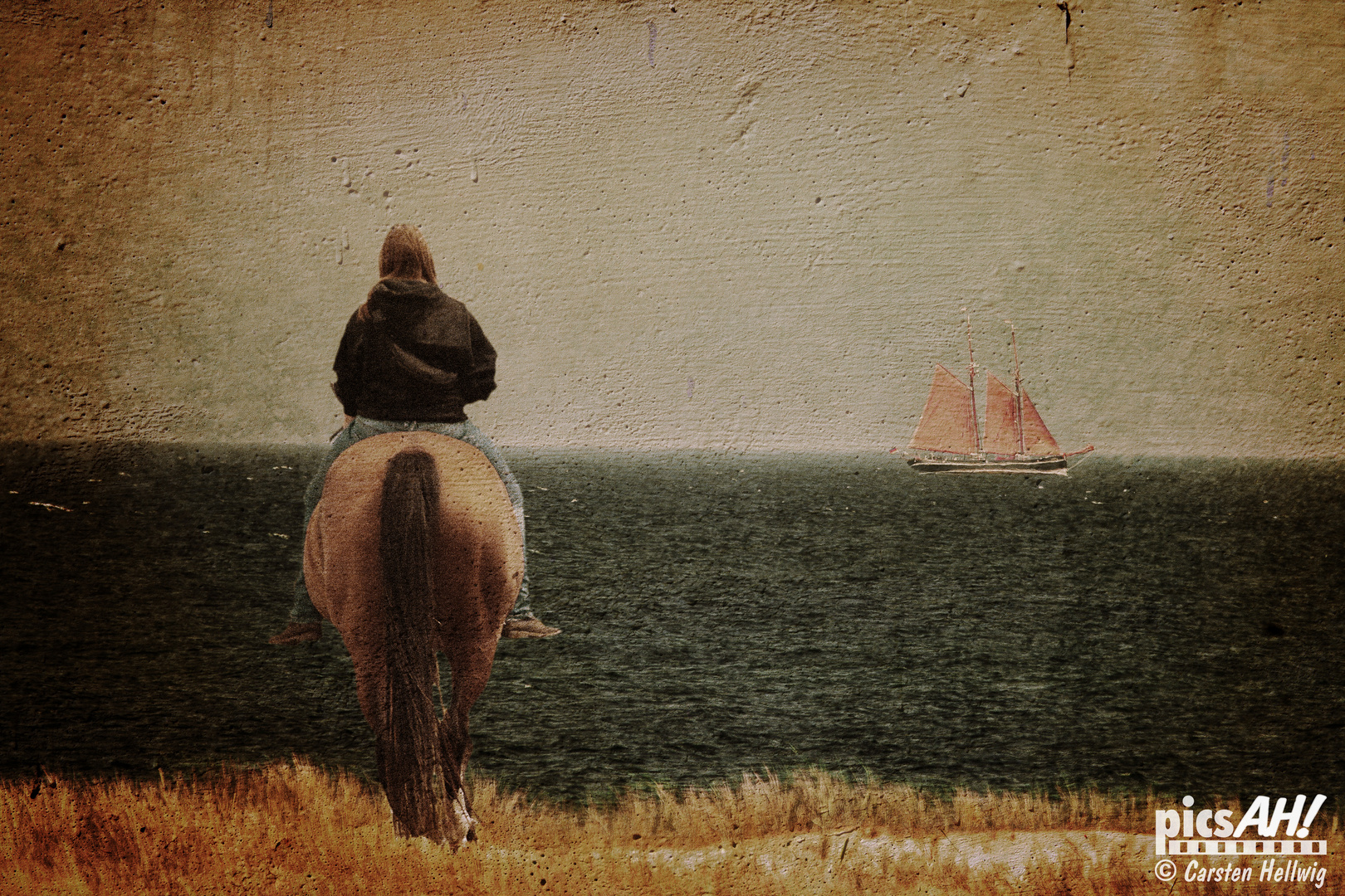 Das Pferd und das Meer