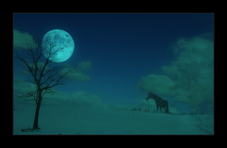 das Pferd und der Mond