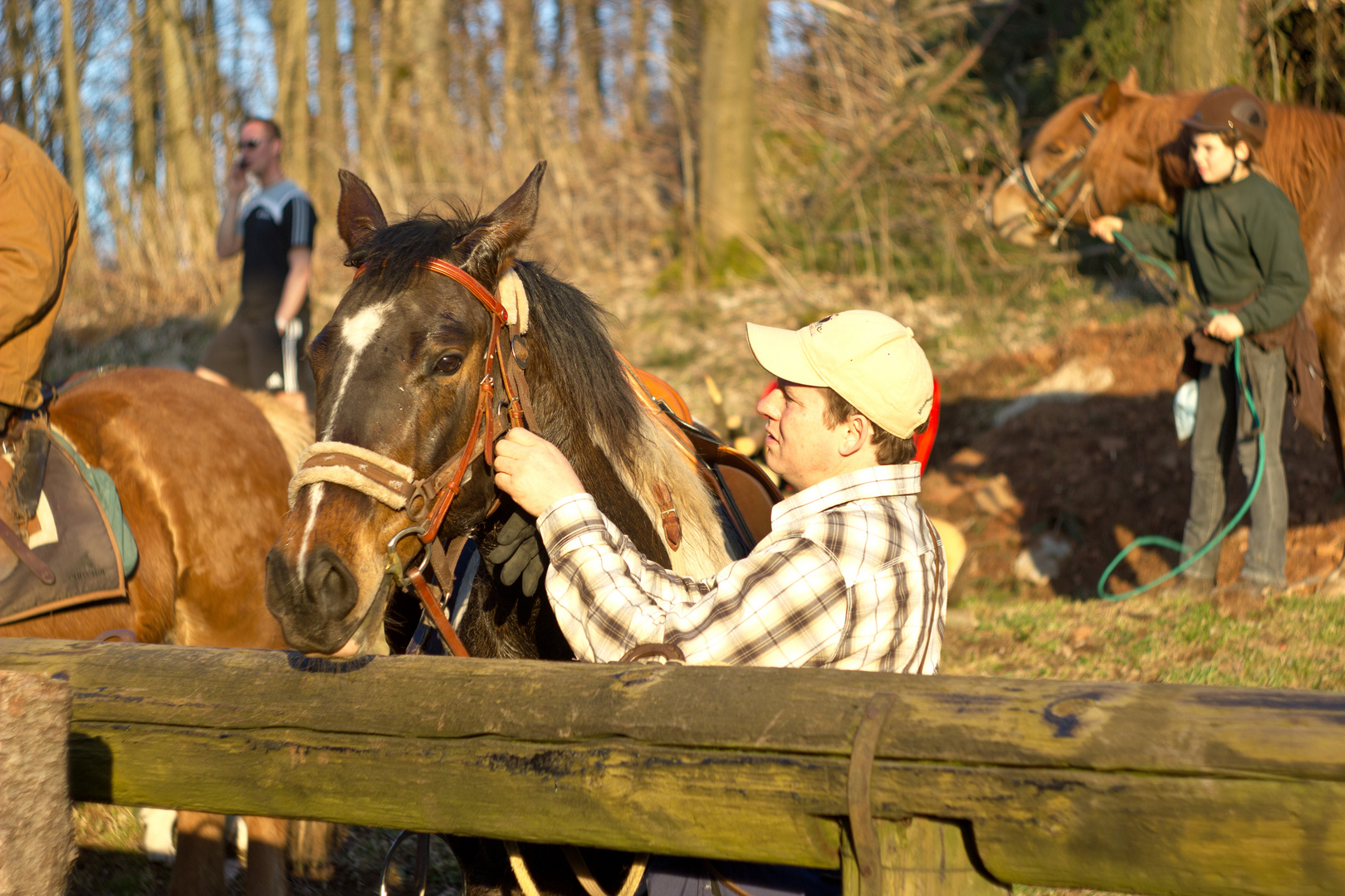 Das Pferd und sein Reiter im Abendlicht