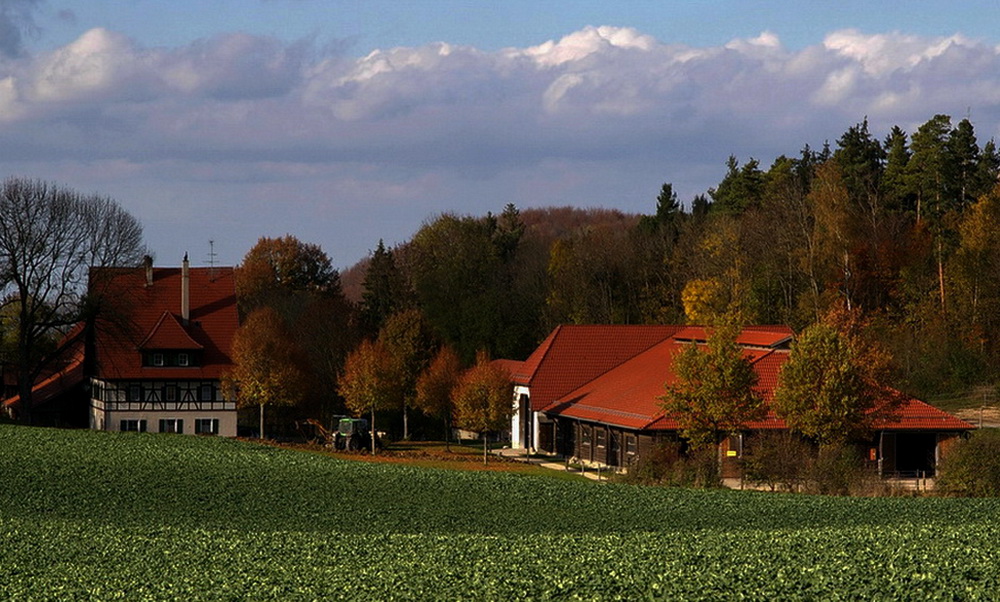 Das Pferde-Altenheim auf der Alb