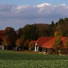 Das Pferde-Altenheim auf der Alb