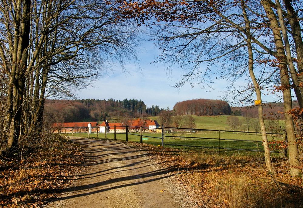 Das Pferdesgestüt St. Johann