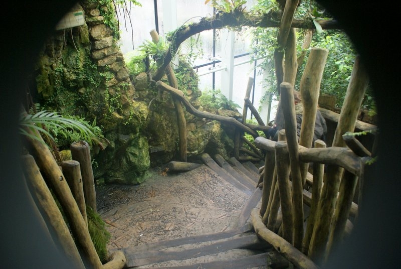 Das Pflanzenhaus In Schonbrunn Foto Bild Pflanzen Pilze Flechten Bluten Kleinpflanzen Natur Bilder Auf Fotocommunity