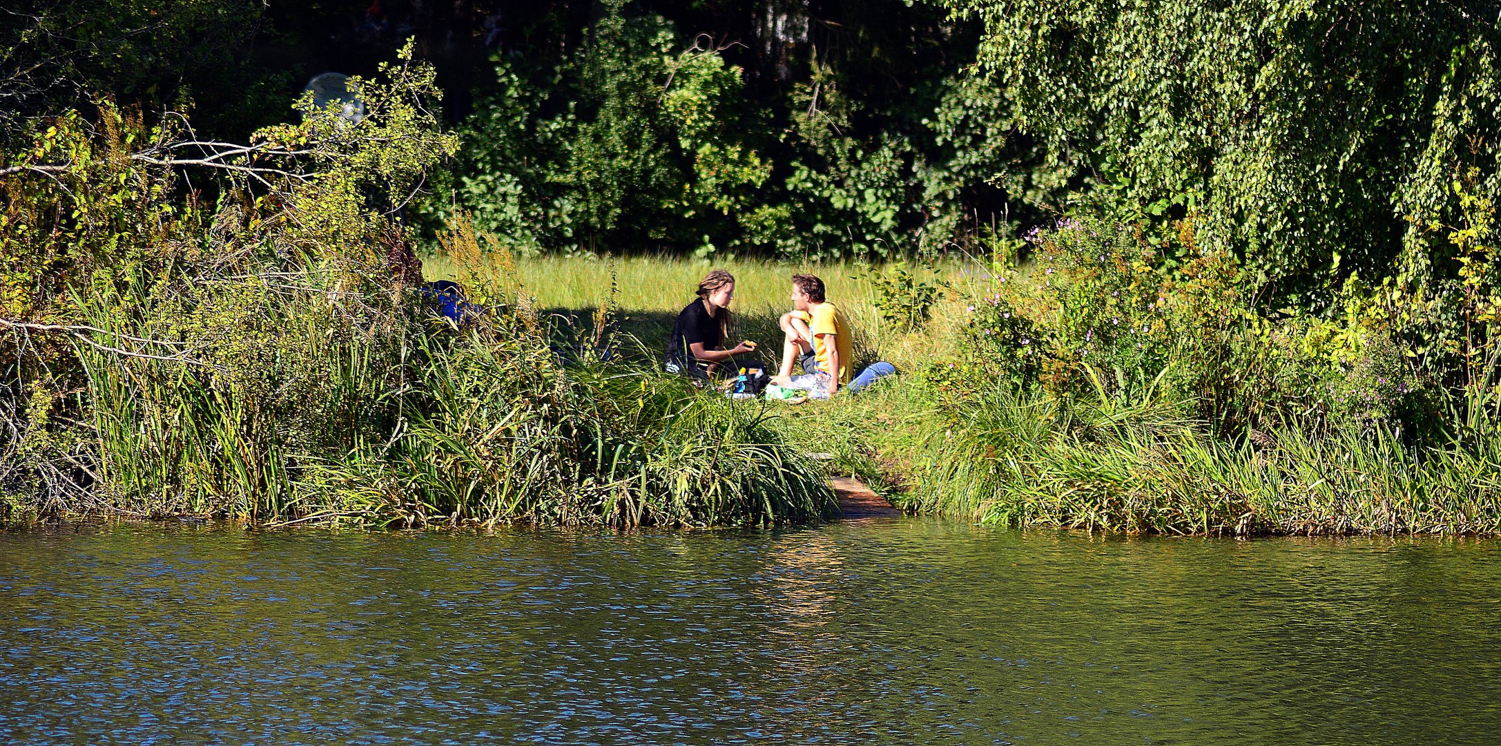 Das Picknick