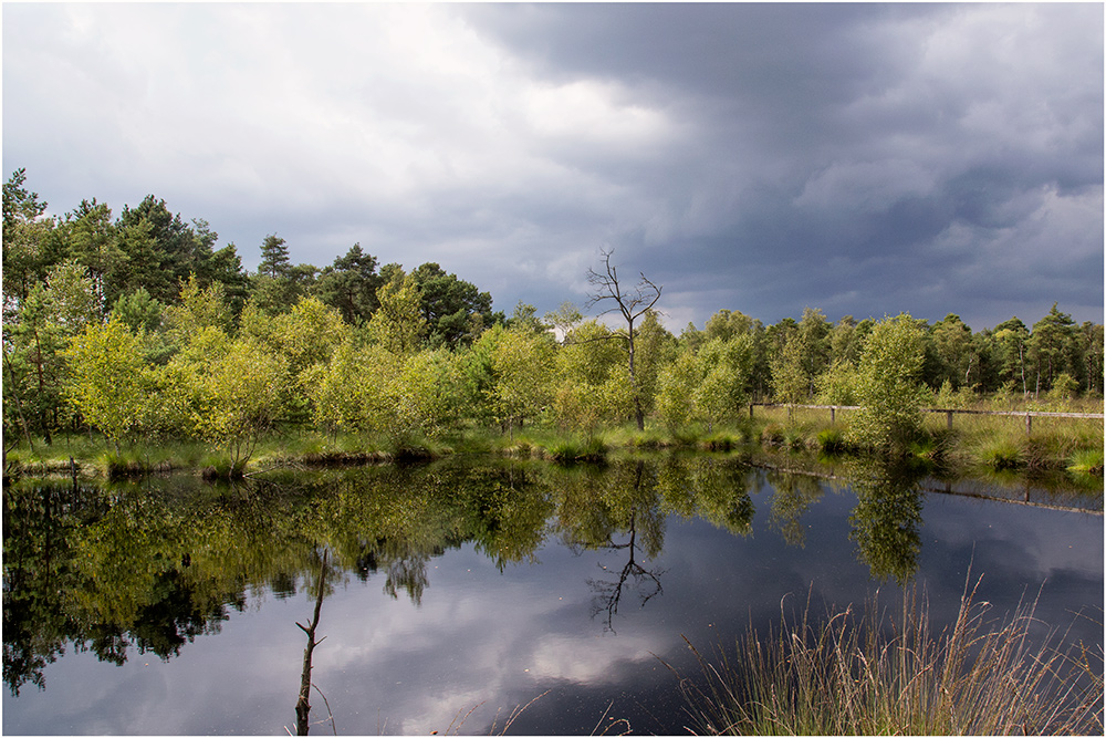 Das Pietz Moor