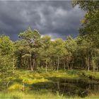 Das Pietz Moor vor dem Regen