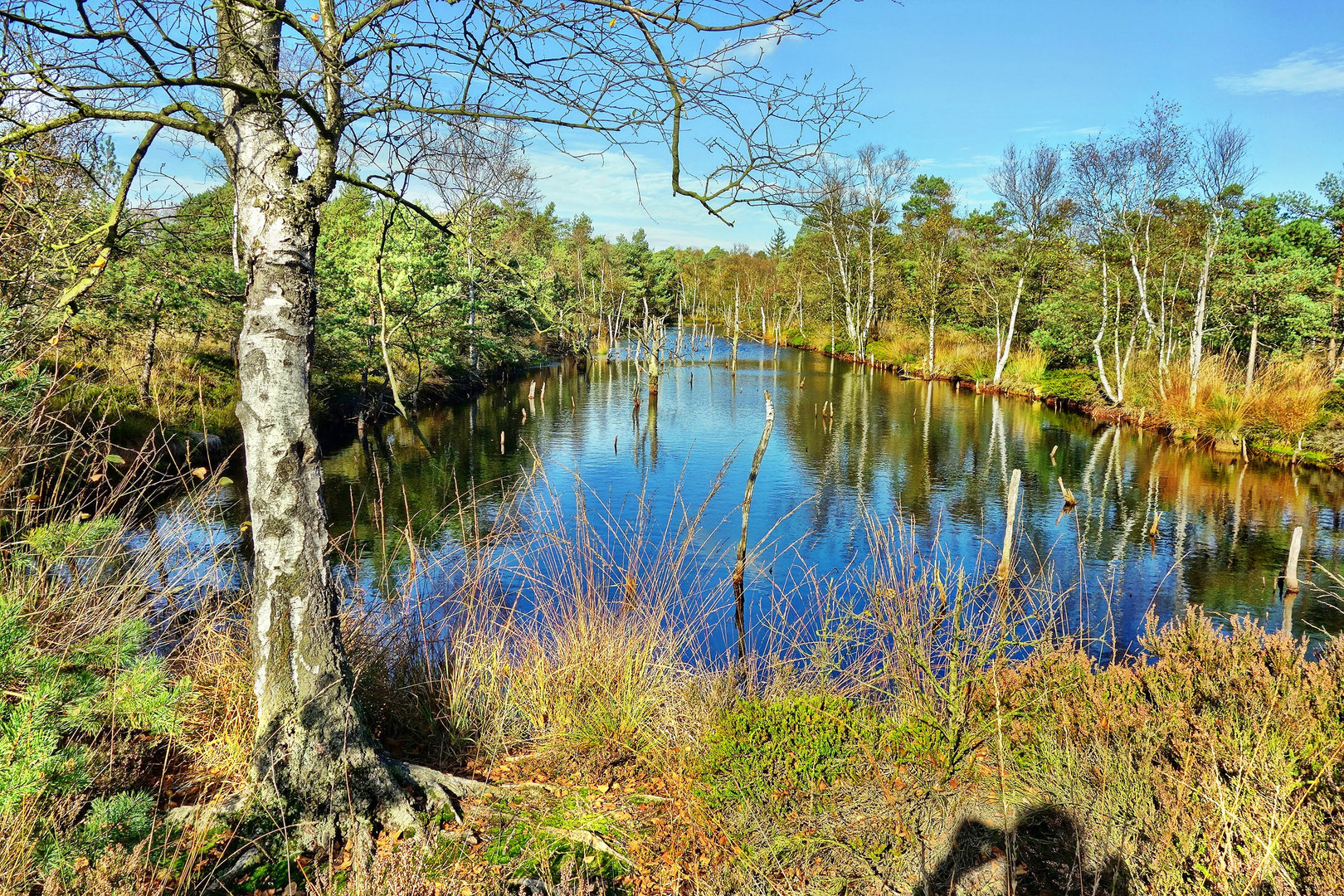 Das Pietzmoor im Herbst