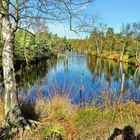 Das Pietzmoor im Herbst